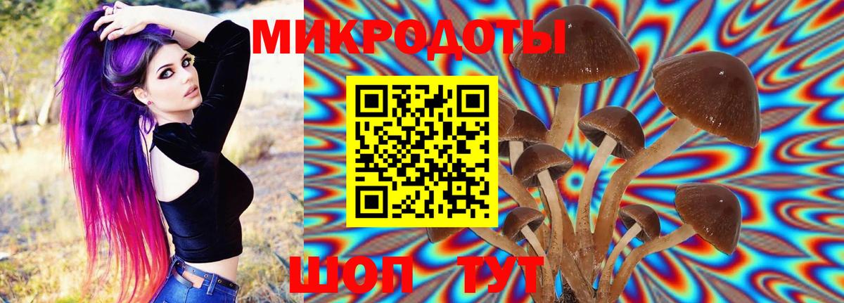 Галлюциногенные грибы прущие грибы Верхняя Салда